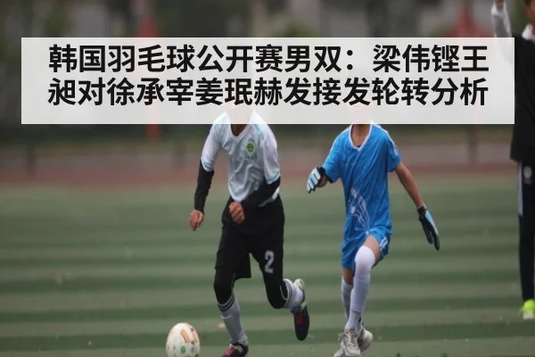 韩国羽毛球公开赛男双：梁伟铿王昶对徐承宰姜珉赫发接发轮转分析